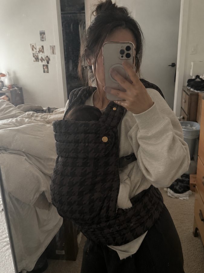 Customer photo of the Maison Philipa carrier